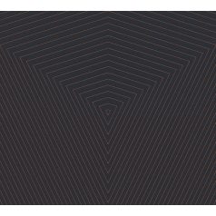   As-Creation Daniel Hechter 6/Black is Beautiful 37522-6 Geometrikus grafikus designminta fekete bronz finoman fénylő vonalak tapéta