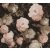 As-Creation History of Art 37650-4  Virágvarázs virágos díszítőminta fekete rózsaszín szürke barna rosé tapéta