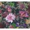 As-Creation Dream Flowery 38175-6 Virágos buja virágmotívum liliomokkal fekete lila zöld szines tapéta