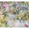 As-Creation Dream Flowery 38179-3 Natur Trópusi buja egzotikus motívum nagymacskákkal papagájokkal kék zöld narancs szines tapéta