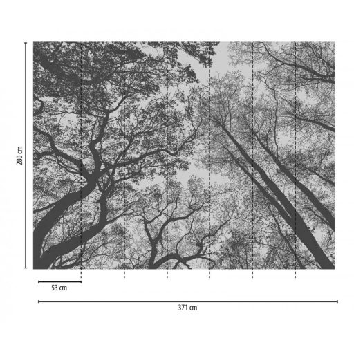 AS-Creation Metropolitan Stories the Wall 38240-1 Natur Perspektívikus erdő megjelenítés fehér fekete falpanel