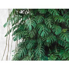   AS-Creation Metropolitan Stories the Wall 38241-1 Natur Sűrű dzsungel bambuszokkal világosszürke zöld árnyalatok falpanel