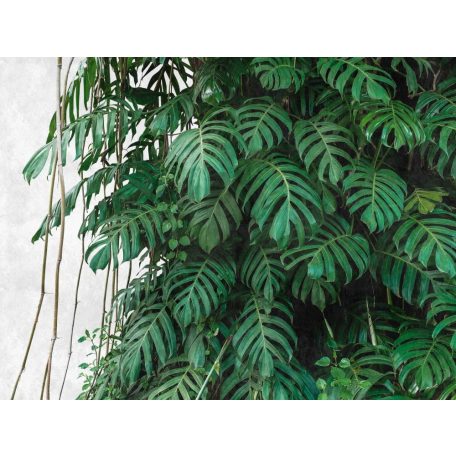 AS-Creation Metropolitan Stories the Wall 38241-1 Natur Sűrű dzsungel bambuszokkal világosszürke zöld árnyalatok falpanel