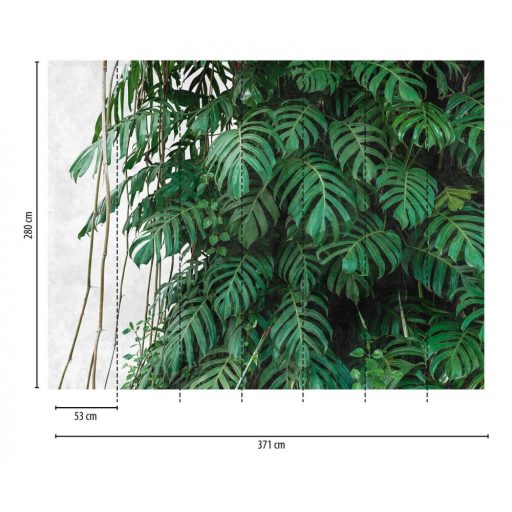 AS-Creation Metropolitan Stories the Wall 38241-1 Natur Sűrű dzsungel bambuszokkal világosszürke zöld árnyalatok falpanel
