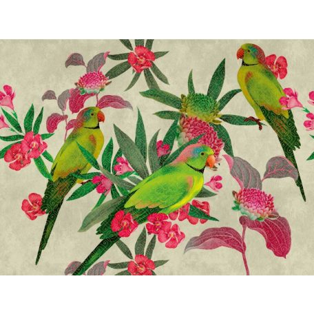 AS-Creation Metropolitan Stories the Wall 38254-1 Trópusi Papagájok virágba burkolózva szürkésbézs szines falpanel