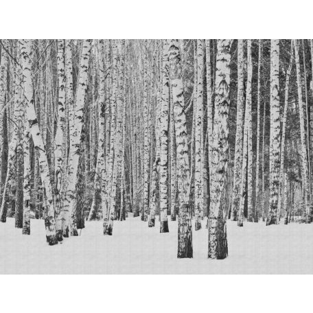 AS-Creation Metropolitan Stories the Wall 38259-1 Natur Téli nyírfaerdő fehér szürke fekete falpanel