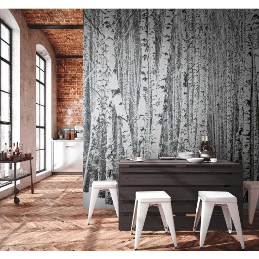 AS-Creation Metropolitan Stories the Wall 38259-1 Natur Téli nyírfaerdő fehér szürke fekete falpanel