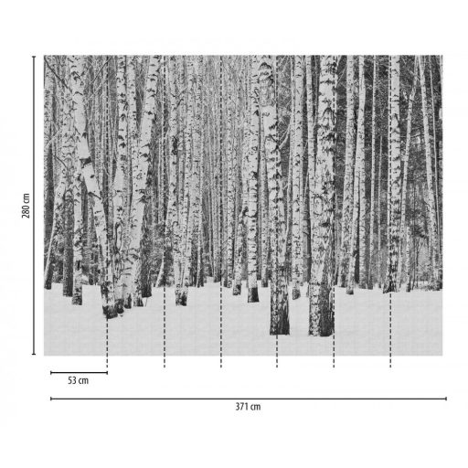 AS-Creation Metropolitan Stories the Wall 38259-1 Natur Téli nyírfaerdő fehér szürke fekete falpanel