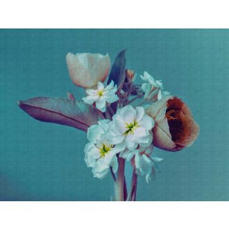   AS-Creation Metropolitan Stories the Wall 38269-1 Botanikus Óriás virágok kék lila szines falpanel