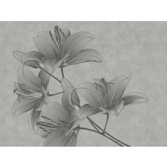   AS-Creation Metropolitan Stories the Wall 38278-1 Botanikus Grafikus sziromkompozíció szürke fekete falpanel