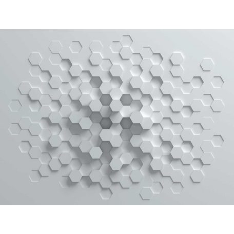 AS-Creation Metropolitan Stories the Wall 38290-1 Geometrikus grafikus térhatású hatszög kompozíció szürke fehér falpanel