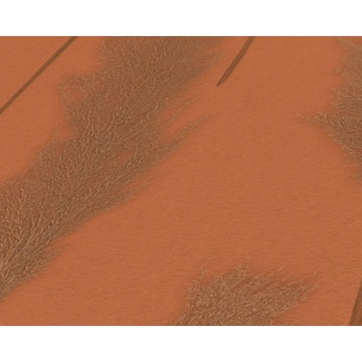 Harmonikusan elrendezett ezüstös pampafű minta narancs/terra és barna tónus bronz finom fény tapéta