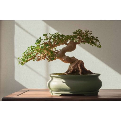 Elegancia és a természetes stílus ötvözete vászontextúrájú minta világoszöld/szürkészöld tónus tapéta