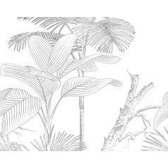   Trópusi növények grafikus monokróm mintája fehér szürke és fekete tónus falpanel