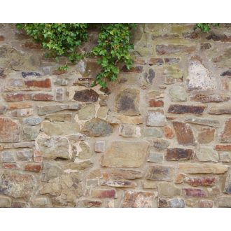   Borostyán ágakkal és levelekkel benőtt autentikus kőfal bézs barna szürke vörös és zöld tónus falpanel