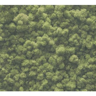   Háromdimenziós megjelenésű természetes mohával borított fal zöld és sötétzöld tónusok tapéta