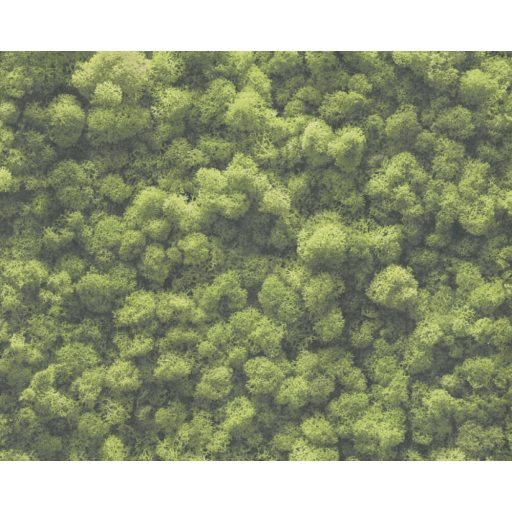 Háromdimenziós megjelenésű természetes mohával borított fal zöld és sötétzöld tónusok tapéta