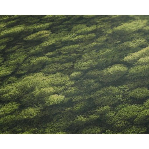 Háromdimenziós megjelenésű természetes mohával borított fal zöld és sötétzöld tónusok tapéta