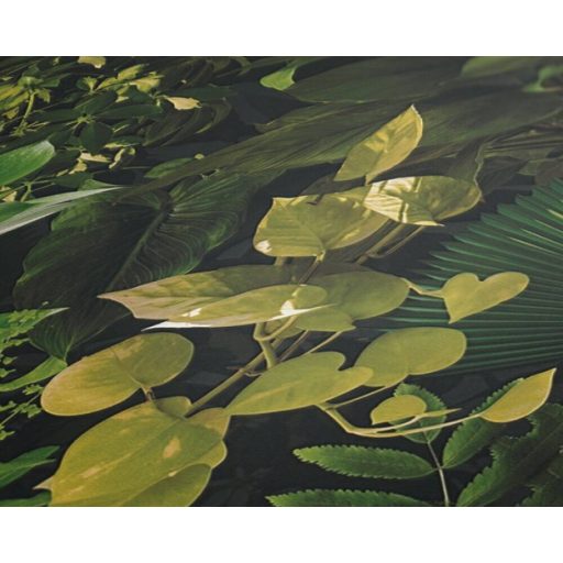 A dzsungel szerelmeseinek! Változatos trópusi levélformák pazar mintája zöld fekete sárgászöld és íriszfehér tónus tapéta