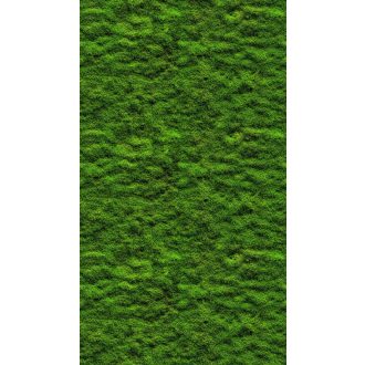   Csak a moha!.. de nem csak az északi oldalon hanem mindenhol! Extrém természeti kép zöld sötétzöld és fekete tónus falpanel