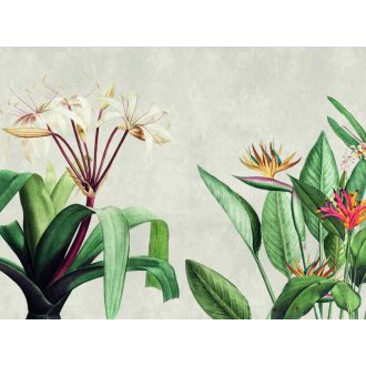   Gigantikus nagy levelű trópusi növények színpompás virágzata beton háttéren szürke zöld sárga és sokszínű tónus falpanel