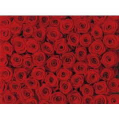 Komar Roses 4-077 poszter