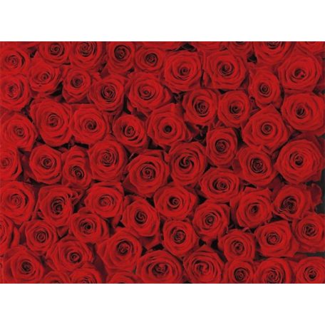 Komar Roses 4-077 poszter