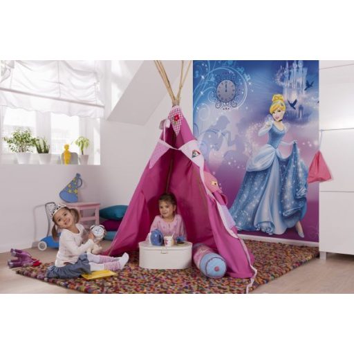 Cindarella's Night 4-407  Disney poszter