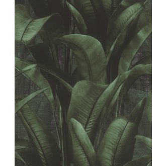   Buja zöld pálmalavelek lenyűgöző 3D látványvilággal sötét smaragd mély olívzöld és sötétszürke/antracit tónus tapéta