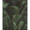 Buja zöld pálmalavelek lenyűgöző 3D látványvilággal sötét smaragd mély olívzöld és sötétszürke/antracit tónus tapéta