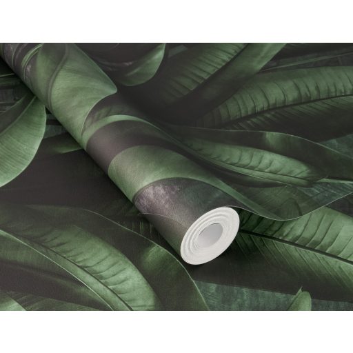 Buja zöld pálmalavelek lenyűgöző 3D látványvilággal sötét smaragd mély olívzöld és sötétszürke/antracit tónus tapéta
