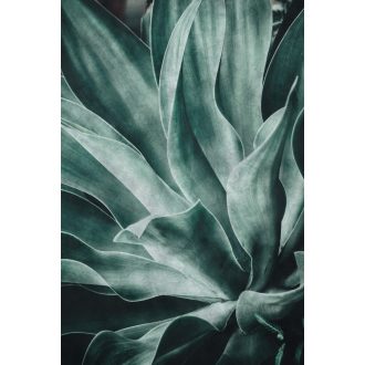   Rasch Brick Lane 425796  Natur nagyformátumú levelek világos szürke sötétzöld falpanel