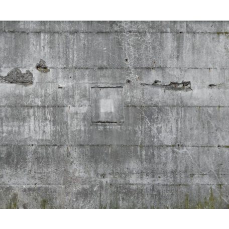 Rasch Factory IV 445510 Natur/Ipari design nyers beton minta szürke fekete falpanel