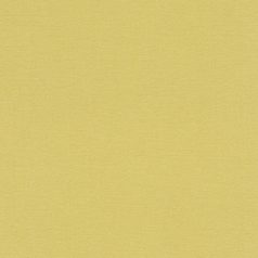   Rasch Kalahari 449839 Natur Egyszínű természetes textilstruktúra sárga/zöldessárga tapéta