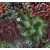 Marburg Smart Art Gallery 46701 Natur Nagyformátumú pozsgás növények (kövirózsa) zöld szines falpanel