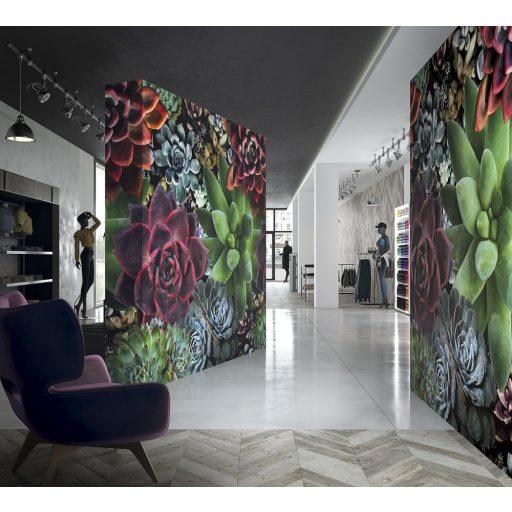 Marburg Smart Art Gallery 46701 Natur Nagyformátumú pozsgás növények (kövirózsa) zöld szines falpanel