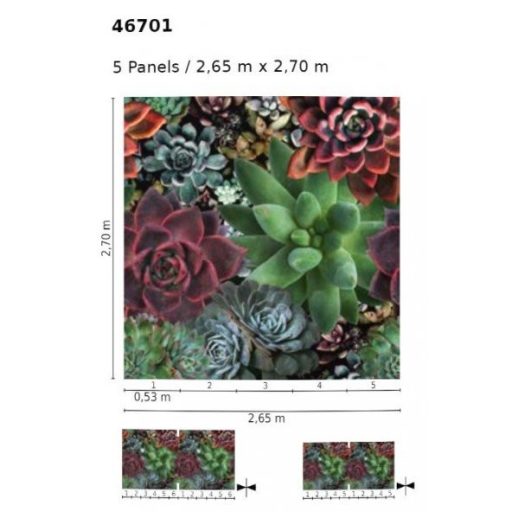 Marburg Smart Art Gallery 46701 Natur Nagyformátumú pozsgás növények (kövirózsa) zöld szines falpanel