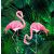 Marburg Smart Art Gallery 46703 Etno Látványos flamingók palackzöld fekete rózsaszín falpanel