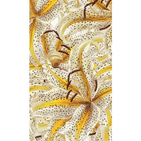 Marburg Smart Art Gallery 46715 Botanikus Térhatású erőteljes csillagliliomok jázminszín kanárisárga barna palpanel