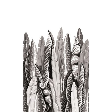 Marburg Smart Art Easy 47207 Natur Botanikus nagyformátumú trópusi levelek fehér szürke ezüst fekete falpanel