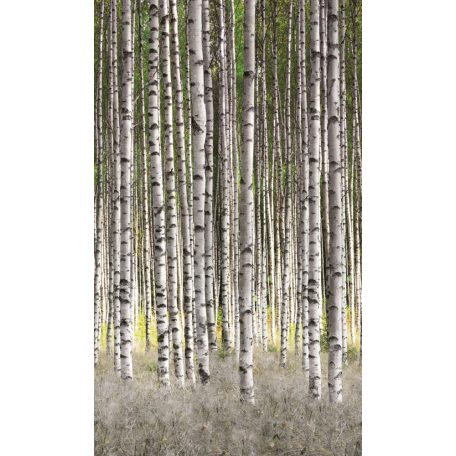 Marburg Smart Art Easy 47220 Natur Nyírfaerdő fehér szürke ezüst zöld falpanel