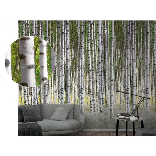 Marburg Smart Art Easy 47220 Natur Nyírfaerdő fehér szürke ezüst zöld falpanel