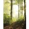 Marburg Smart Art Easy 47221 Natur Fantasy erdő zöld barna sárga fehér falpanel