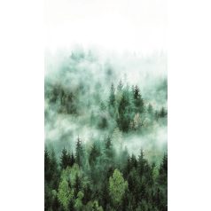   Marburg Smart Art Easy 47267 Natur ködbe burkolozó titokzatos fenyőerdő fehér zöld árnyalatok falpanel