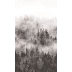   Marburg Smart Art Easy 47268 Natur ködbe burkolozó titokzatos fenyőerdő fehér szürke árnyaaltok fekete falpanel