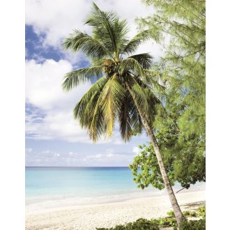   Marburg Smart Art Easy 47269 Natur Trópusi pálmafa a fehérhomokos tengerparton fehér kék és zöld árnyalatok homokszín falpanel