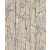 Rasch Florentine III 484861 Natur Trópusi bambuszliget textil háttéren világosszürke fekete fehér szürke fényes mintarészletek tapéta
