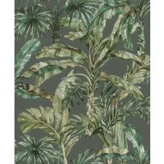   Rasch Florentine III 485271 Natur Trópusi banánlevelek és pálmafák textil háttéren sötétszürke fehér zöld és barna árnyalatok