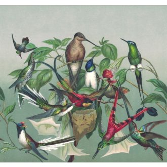   Madárfészek - egzotikus trópusi madarak zöld szürke szines falpanel