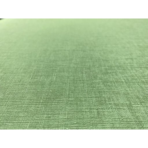 Rasch Amazing/Club Botanique 537918  Natur egyszínű strukturált textil friss zöld tapéta